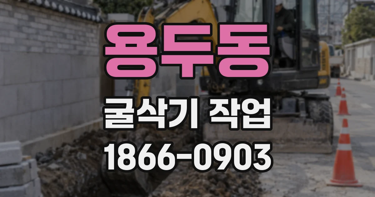 용두동 굴삭기 작업