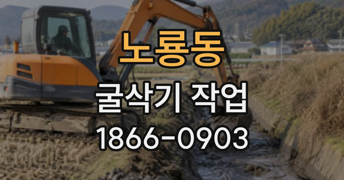 노룡동 굴삭기작업