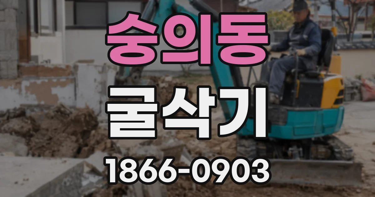 숭의동 굴삭기