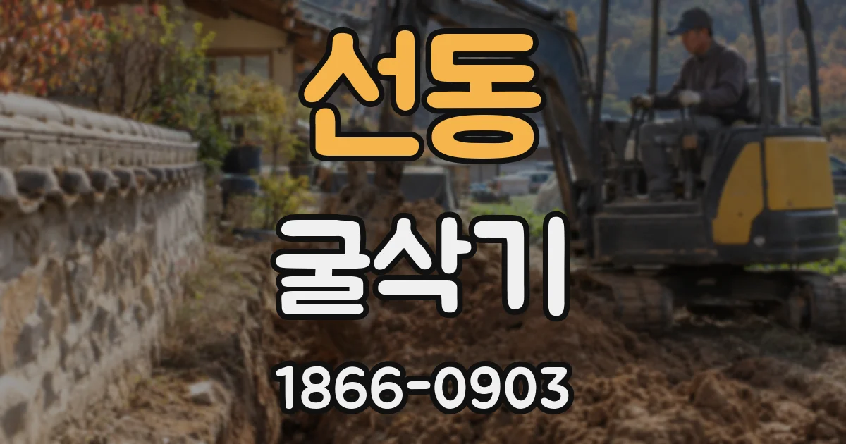 선동 굴삭기