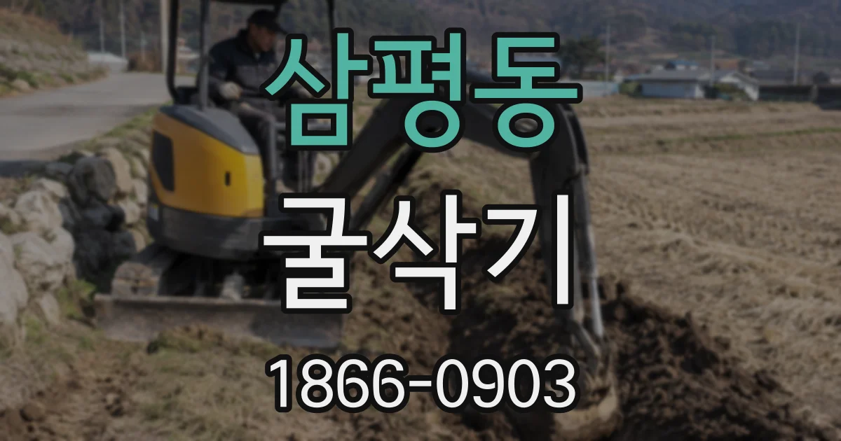 삼평동 굴삭기