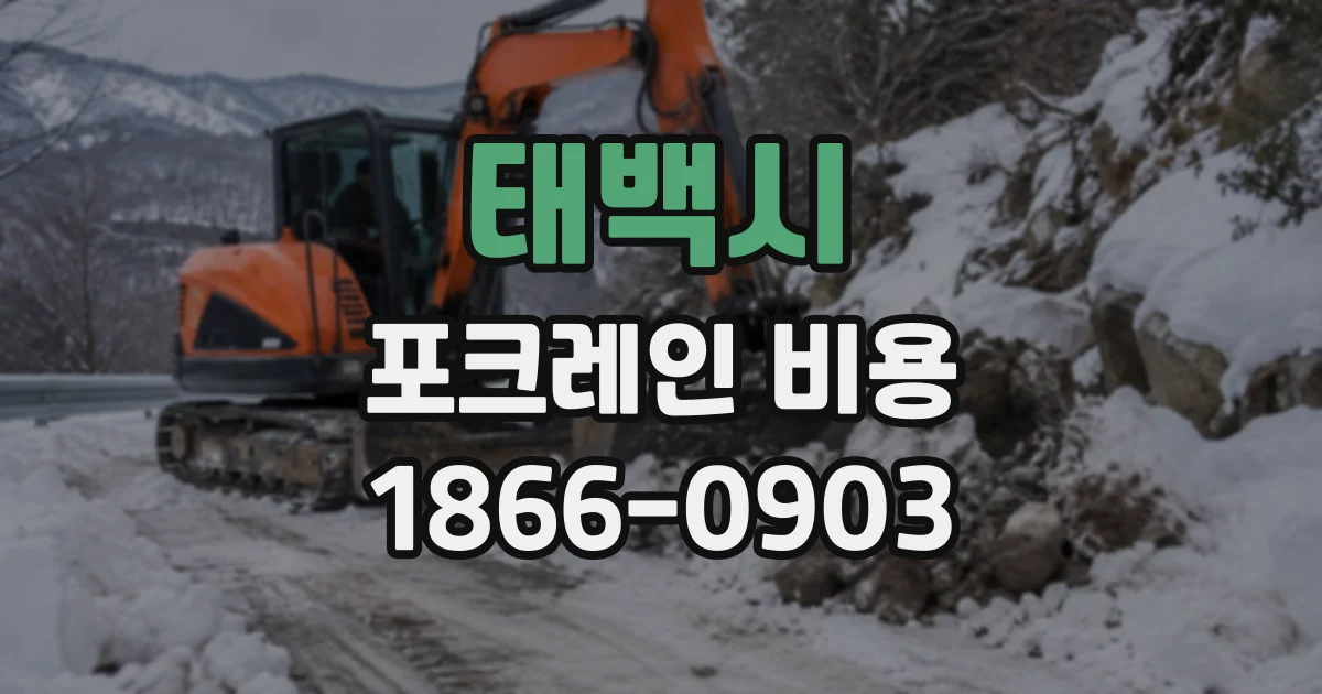 태백시 포크레인비용