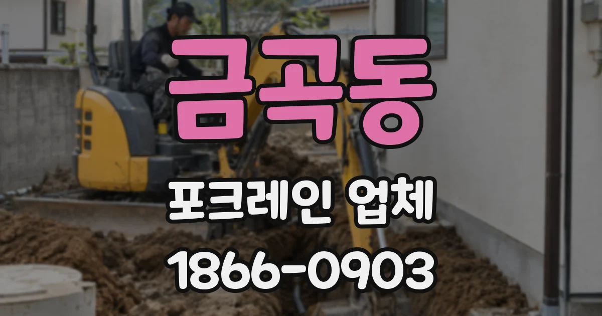 금곡동 포크레인 업체