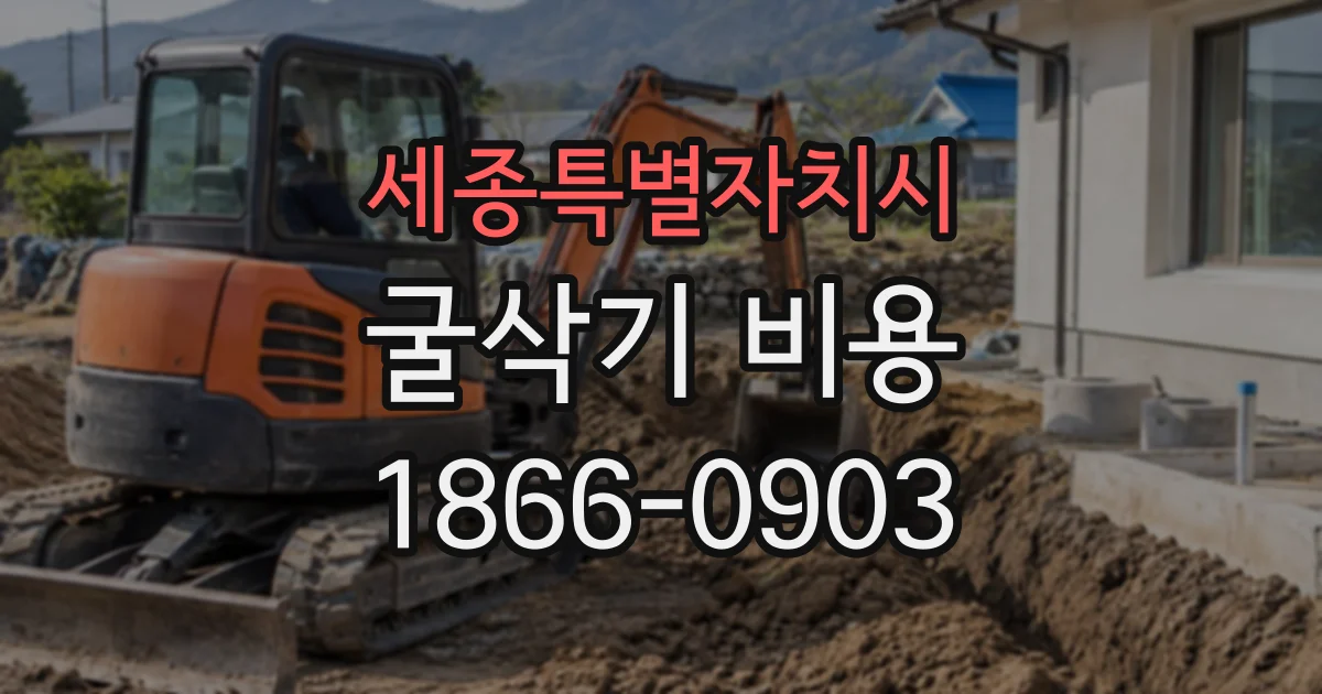 세종특별자치시 굴삭기비용