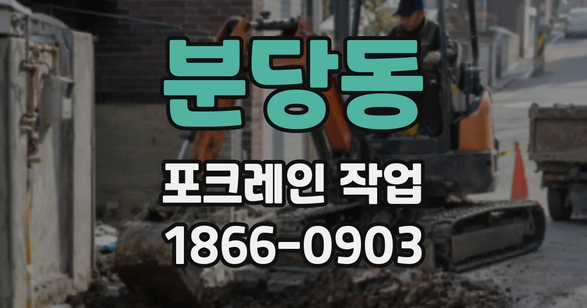 분당동 포크레인 작업