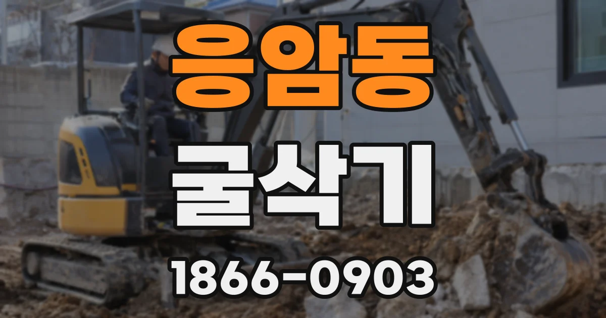 응암동 굴삭기