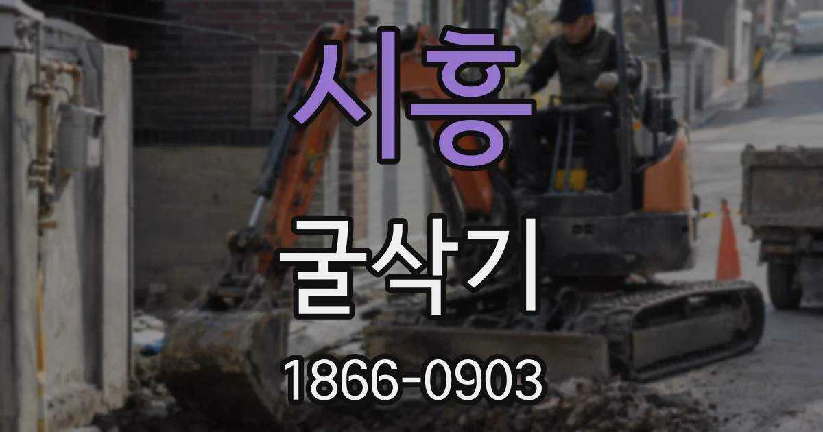 시흥 굴삭기