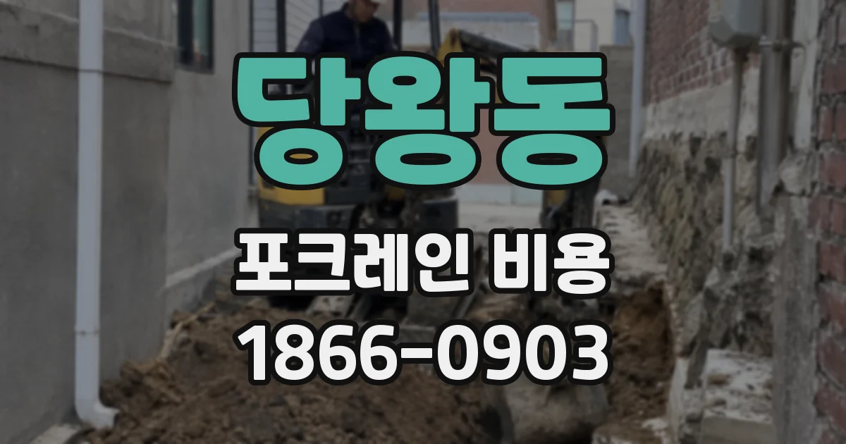 당왕동 포크레인 비용