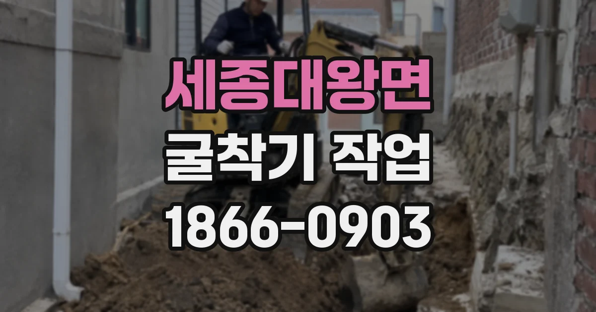 세종대왕면 굴착기 작업