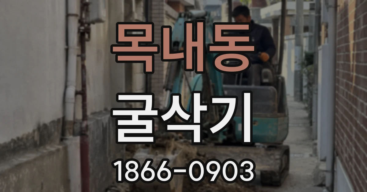 목내동 굴삭기