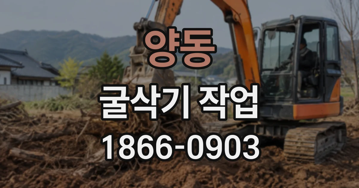 양동 굴삭기작업