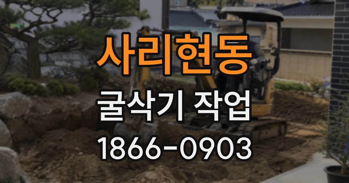 사리현동 굴삭기 작업