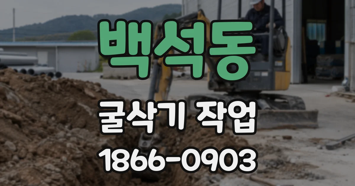 백석동 굴삭기 작업