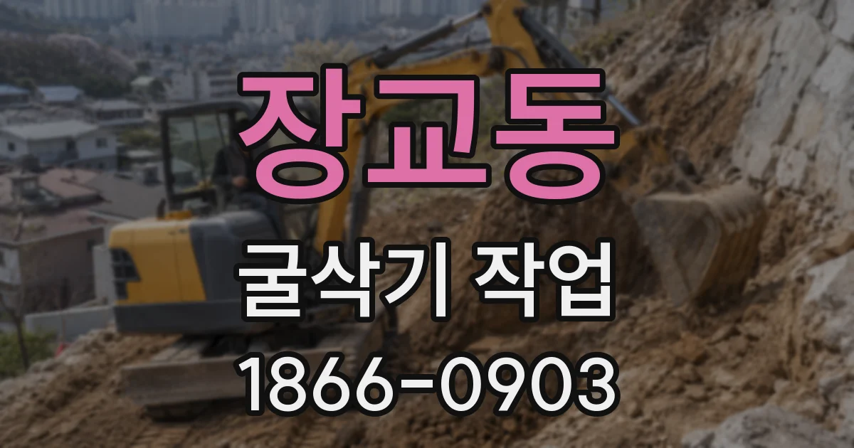 장교동 굴삭기 작업