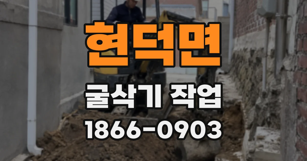 현덕면 굴삭기 작업