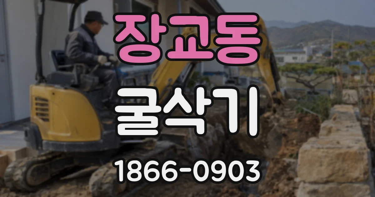 장교동 굴삭기