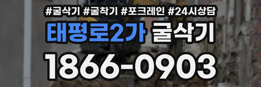 태평로2가 굴삭기