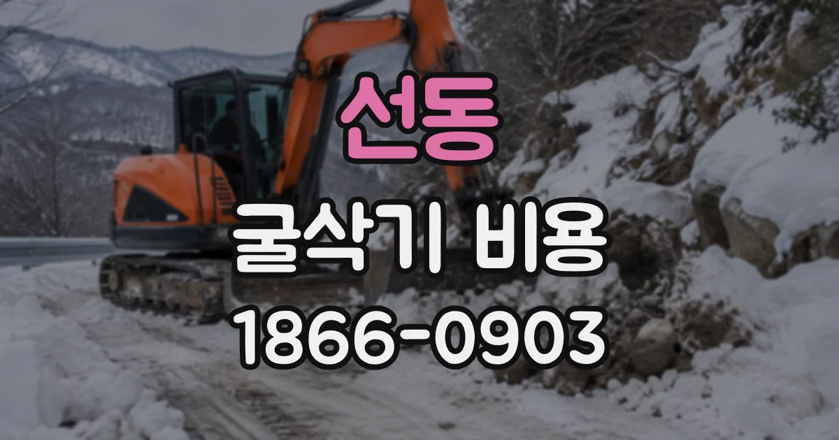 선동 굴삭기비용