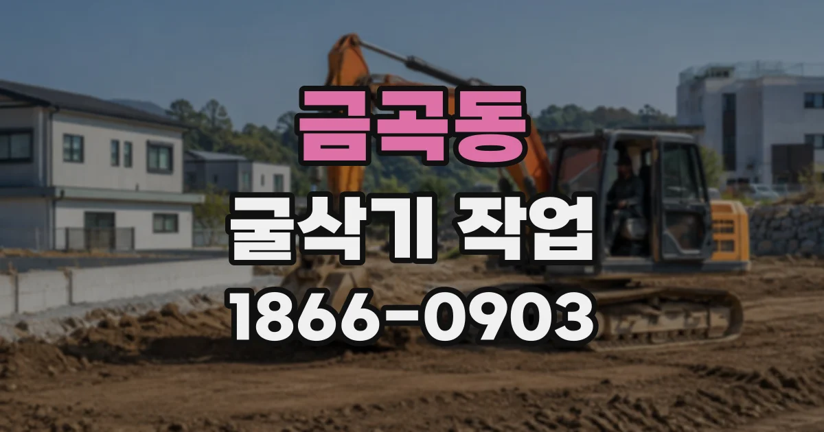 금곡동 굴삭기작업
