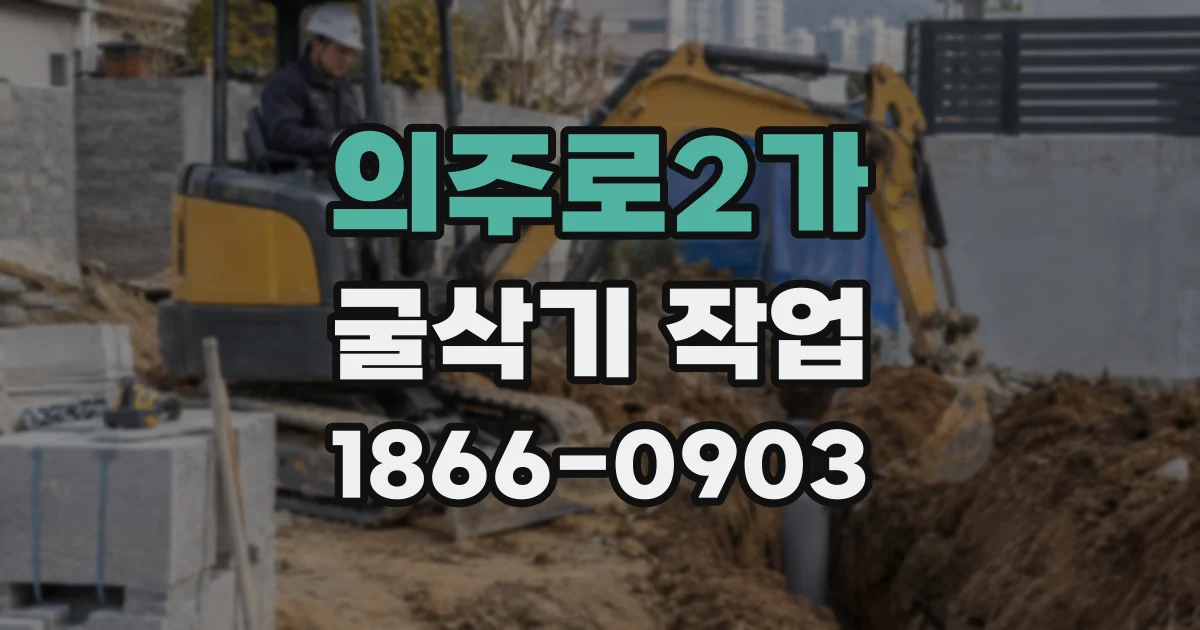 의주로2가 굴삭기 작업