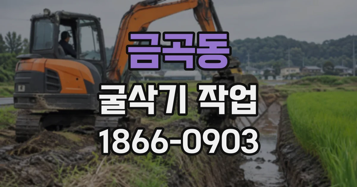 금곡동 굴삭기작업