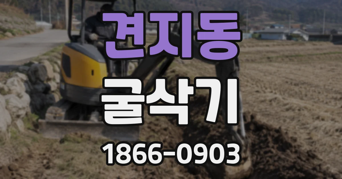 견지동 굴삭기