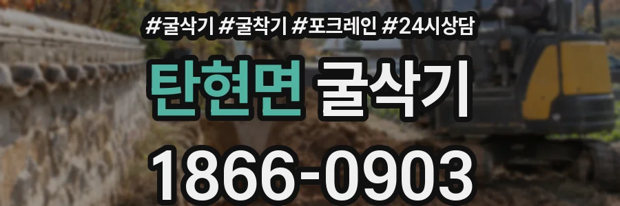 탄현면 굴삭기