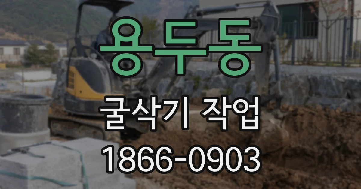용두동 굴삭기 작업