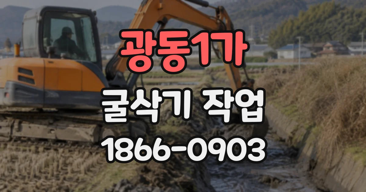 광동1가 굴삭기작업