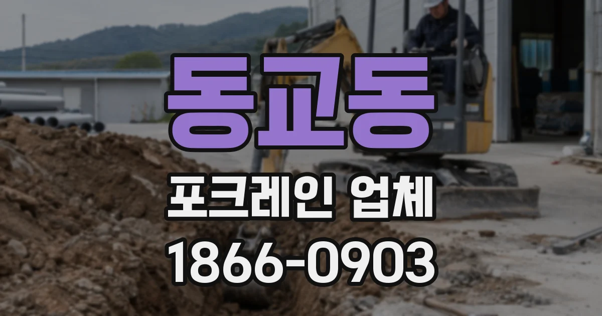 동교동 포크레인 업체