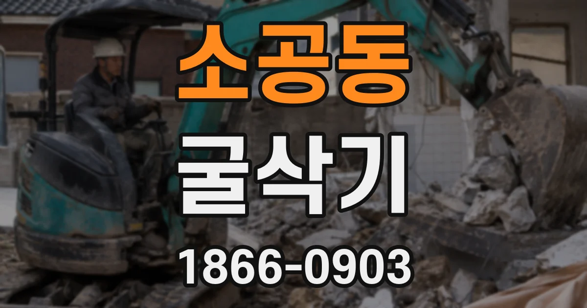 소공동 굴삭기