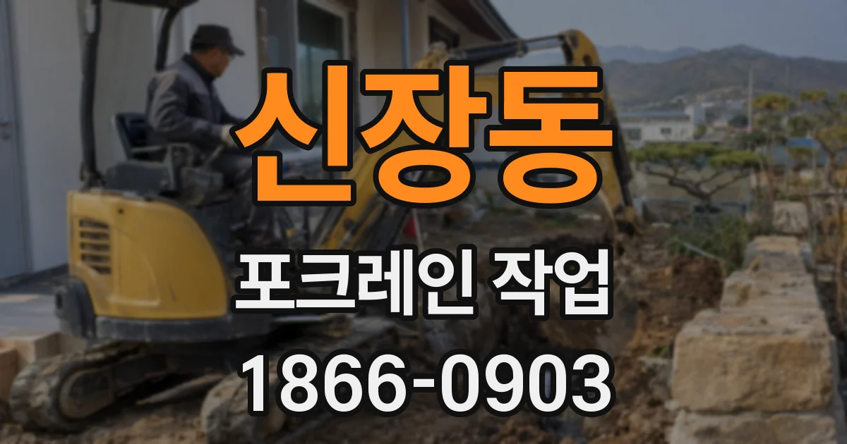 신장동 포크레인 작업