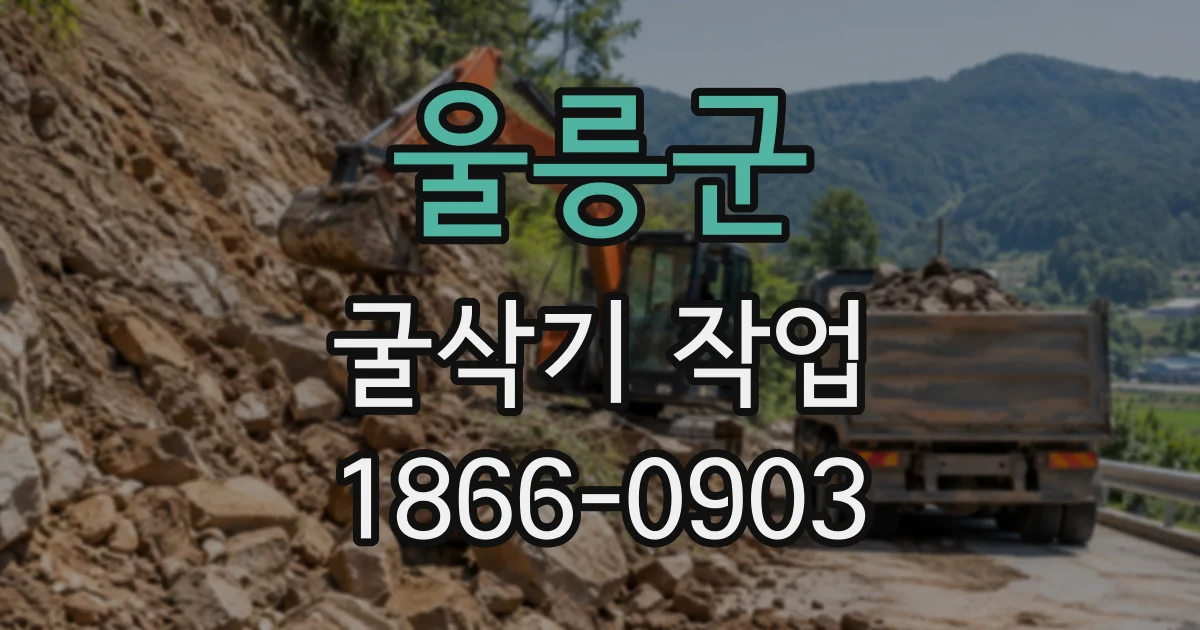 울릉군 굴삭기작업