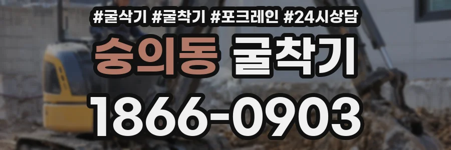 숭의동 굴착기