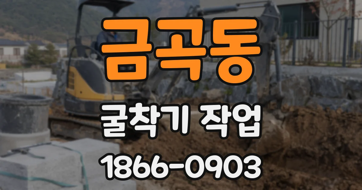 금곡동 굴착기 작업