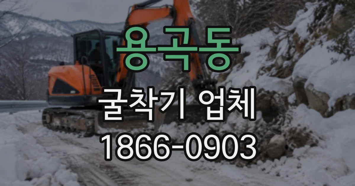 용곡동 굴착기업체