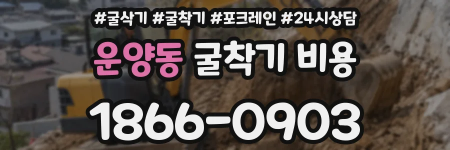 운양동 굴착기 비용