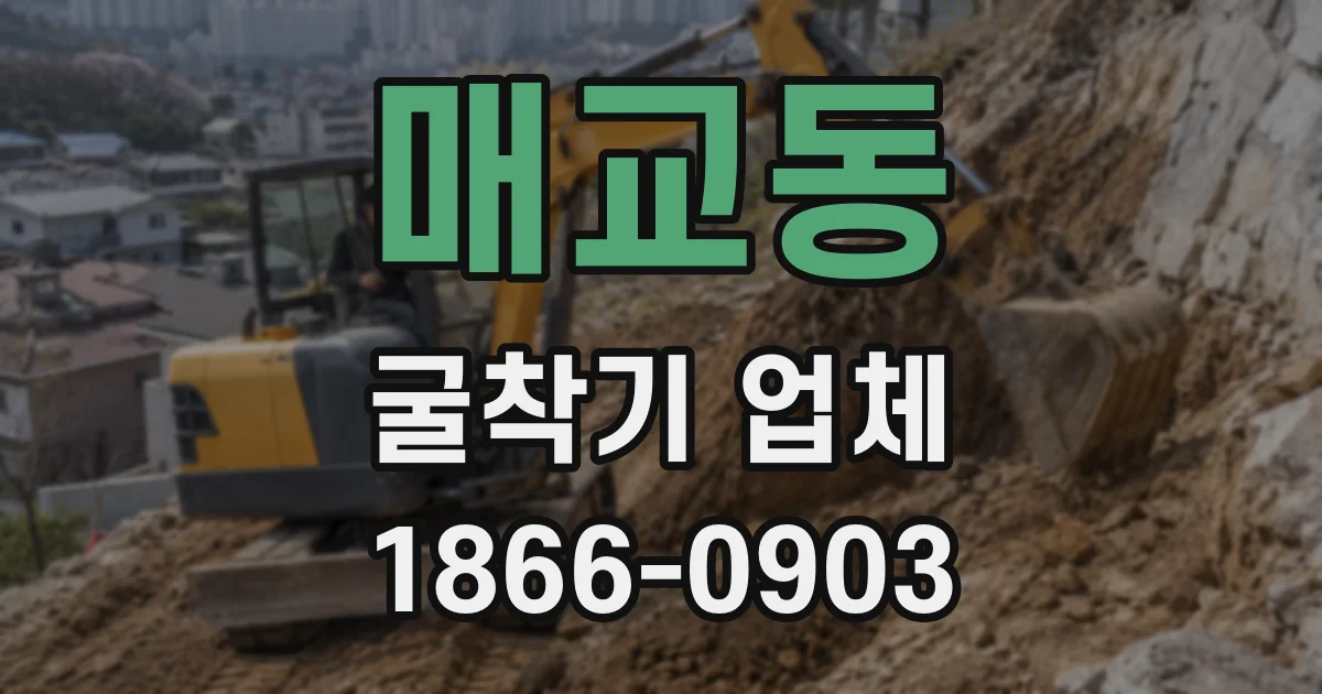 매교동 굴착기 업체