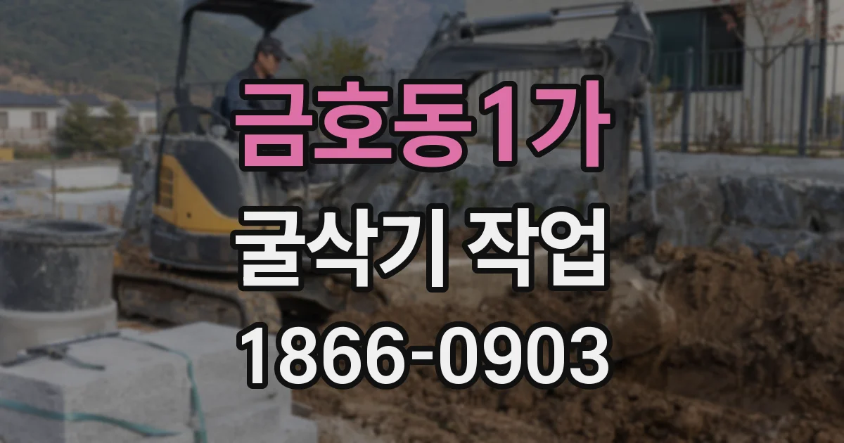 금호동1가 굴삭기 작업