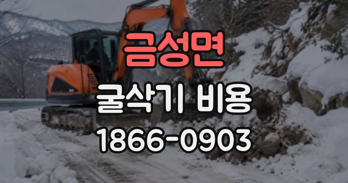금성면 굴삭기비용