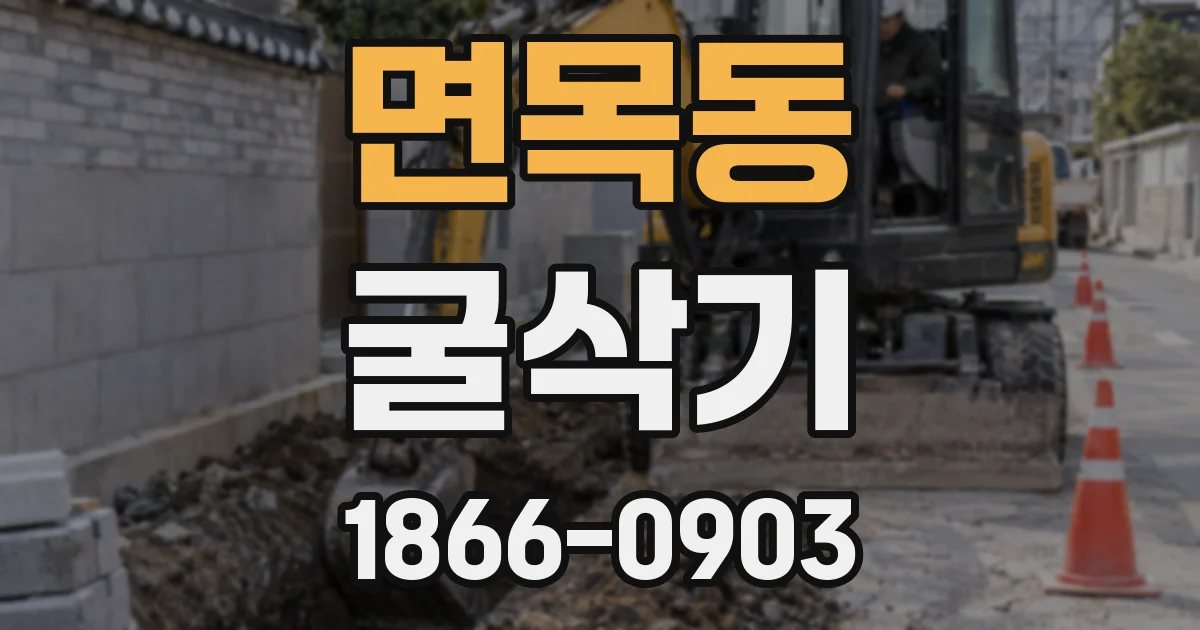 면목동 굴삭기