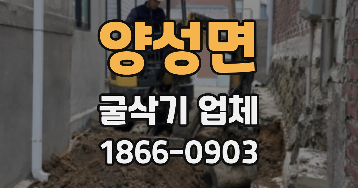 양성면 굴삭기 업체