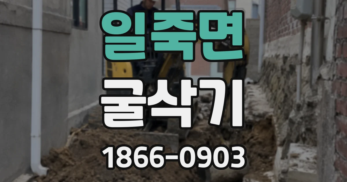 일죽면 굴삭기