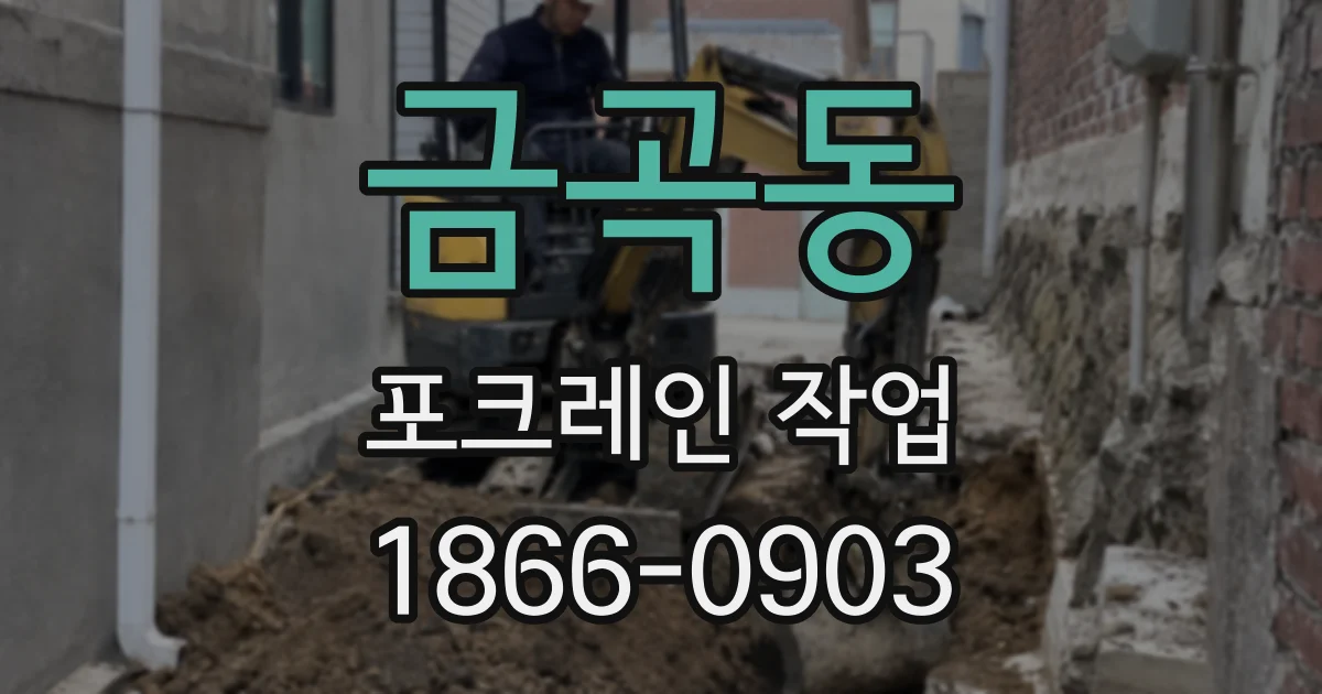 금곡동 포크레인 작업