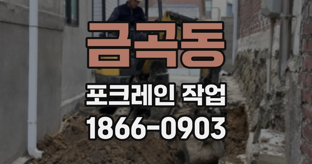 금곡동 포크레인 작업