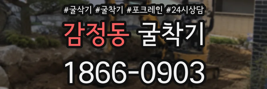 감정동 굴착기