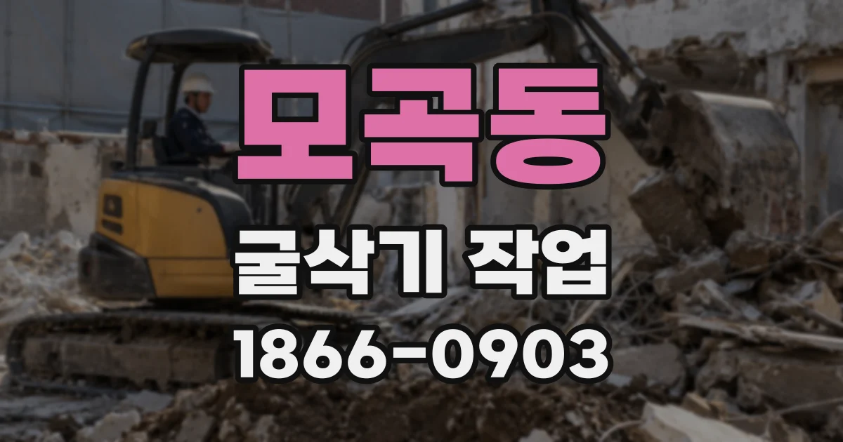모곡동 굴삭기 작업
