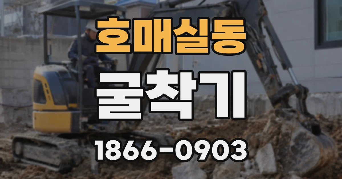 호매실동 굴착기