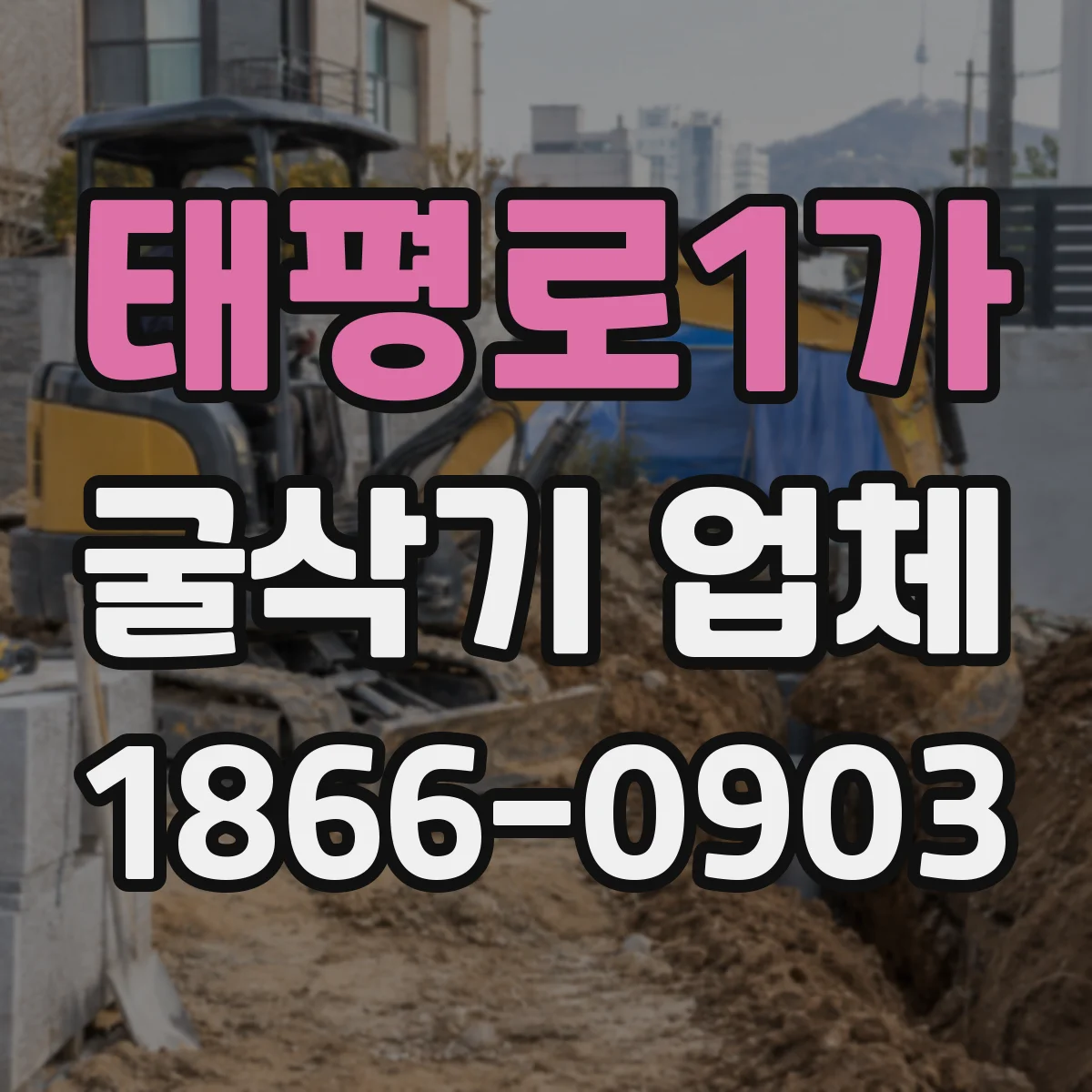 태평로1가 굴삭기 업체