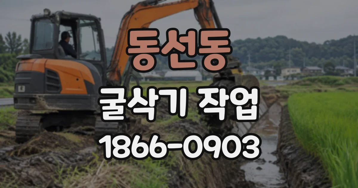 동선동 굴삭기작업